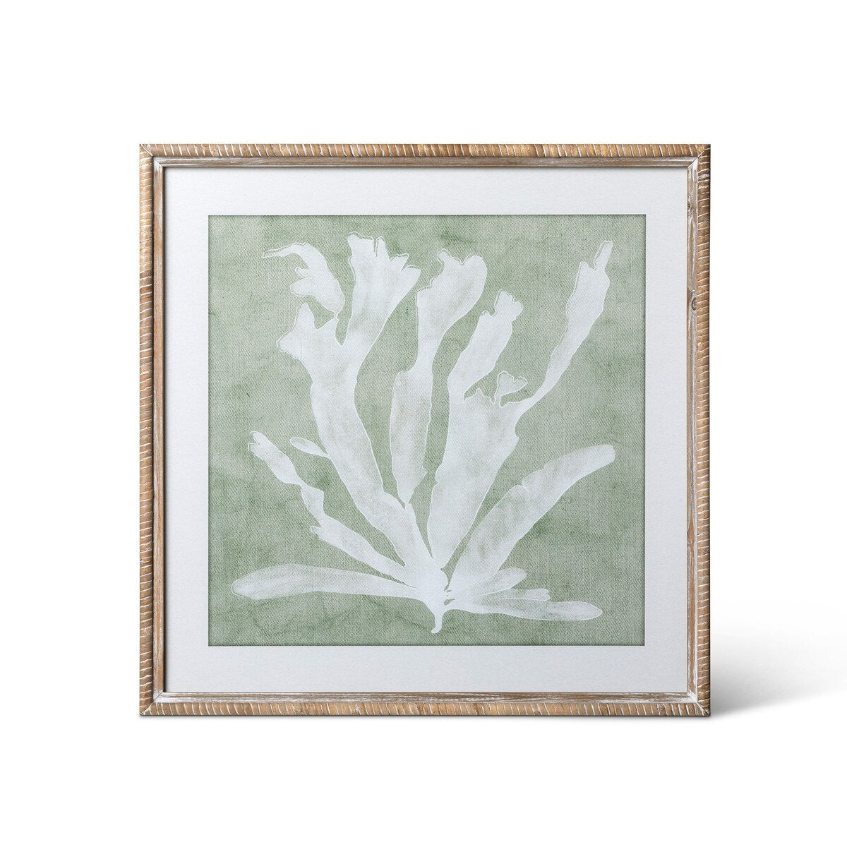 Isla Framed Coral Wall Art, Sage, 4 Assorted Styles style shot 2