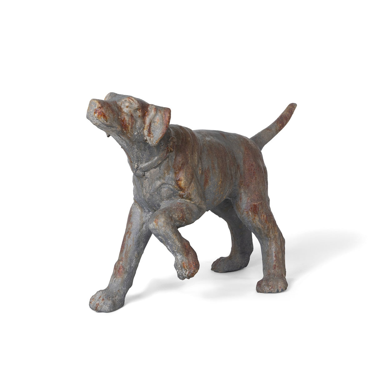 Hunting Hound style shot 1
