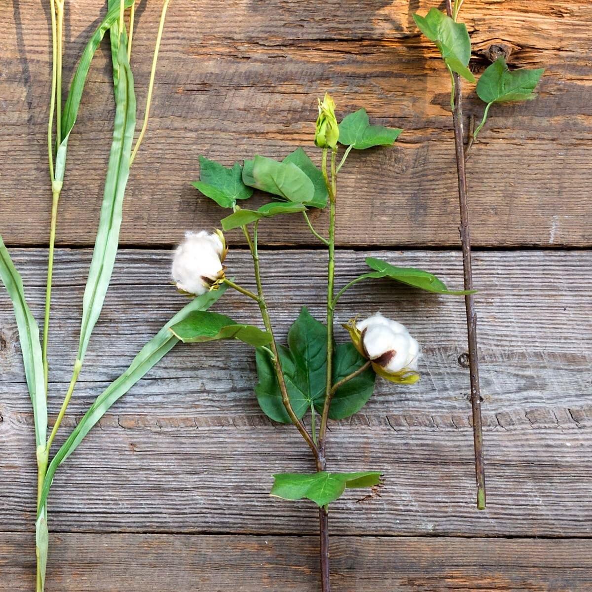 Green Cotton Stem, Short