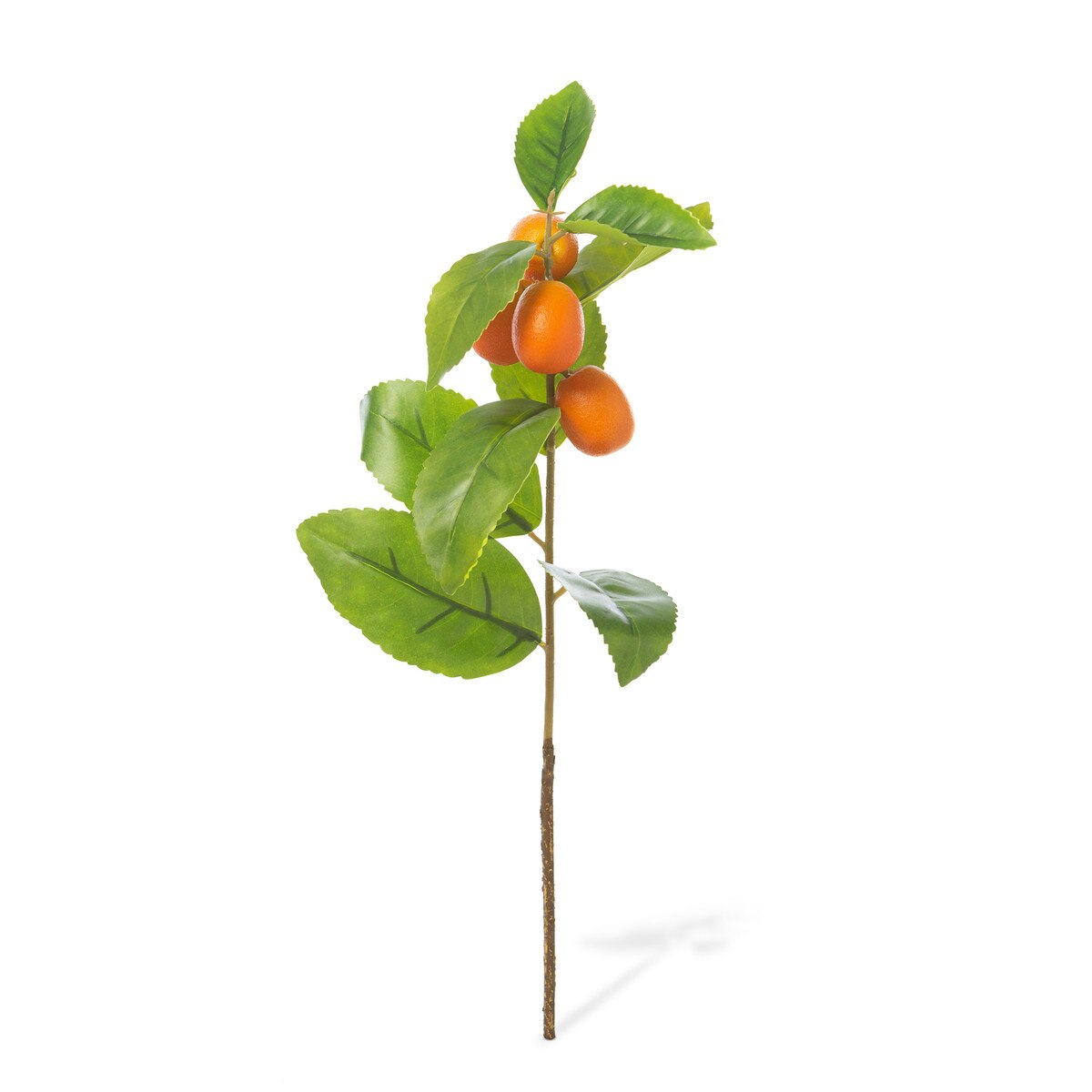 Crafted Kumquat Stem style shot 1