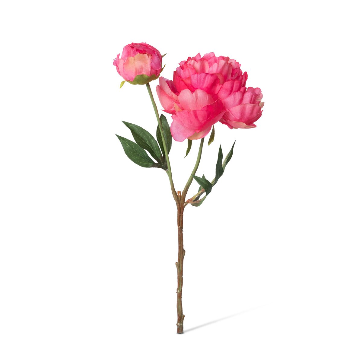 Summer Peony, Pink Cerise Mix, 3 Assorted Colors style shot 2