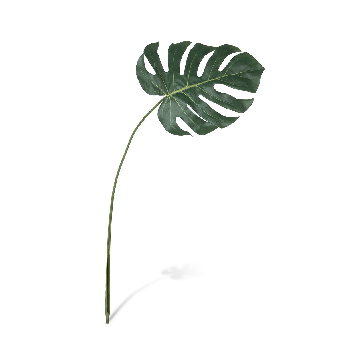 Monstera Leaf, Large style shot 1