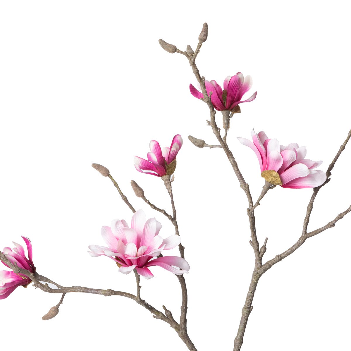Japanese Magnolia Branch style shot 2