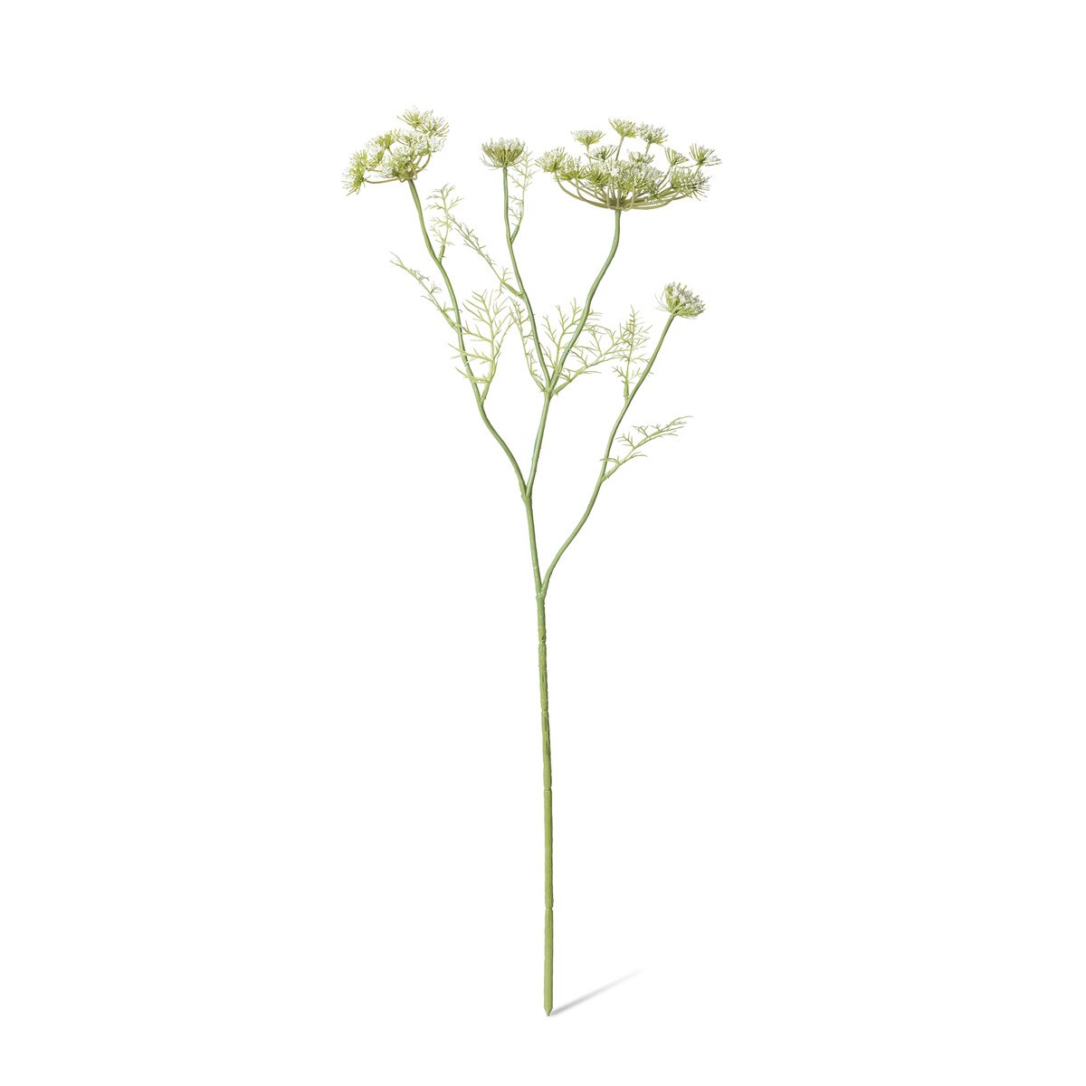Queen Anne's Lace Spray style shot 1