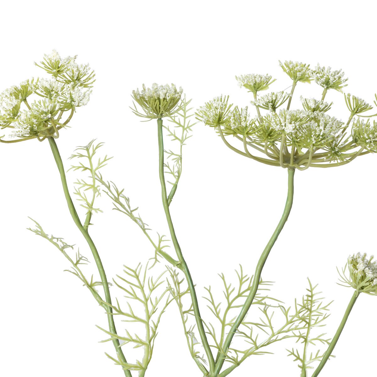 Queen Anne's Lace Spray style shot 2