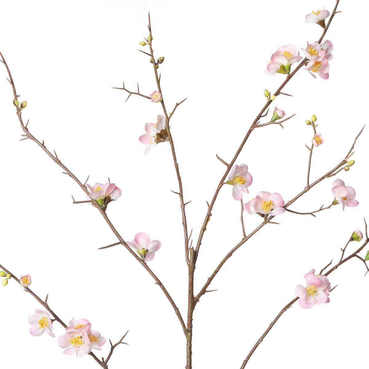 Quince Blossom Branch, Pink style shot 2