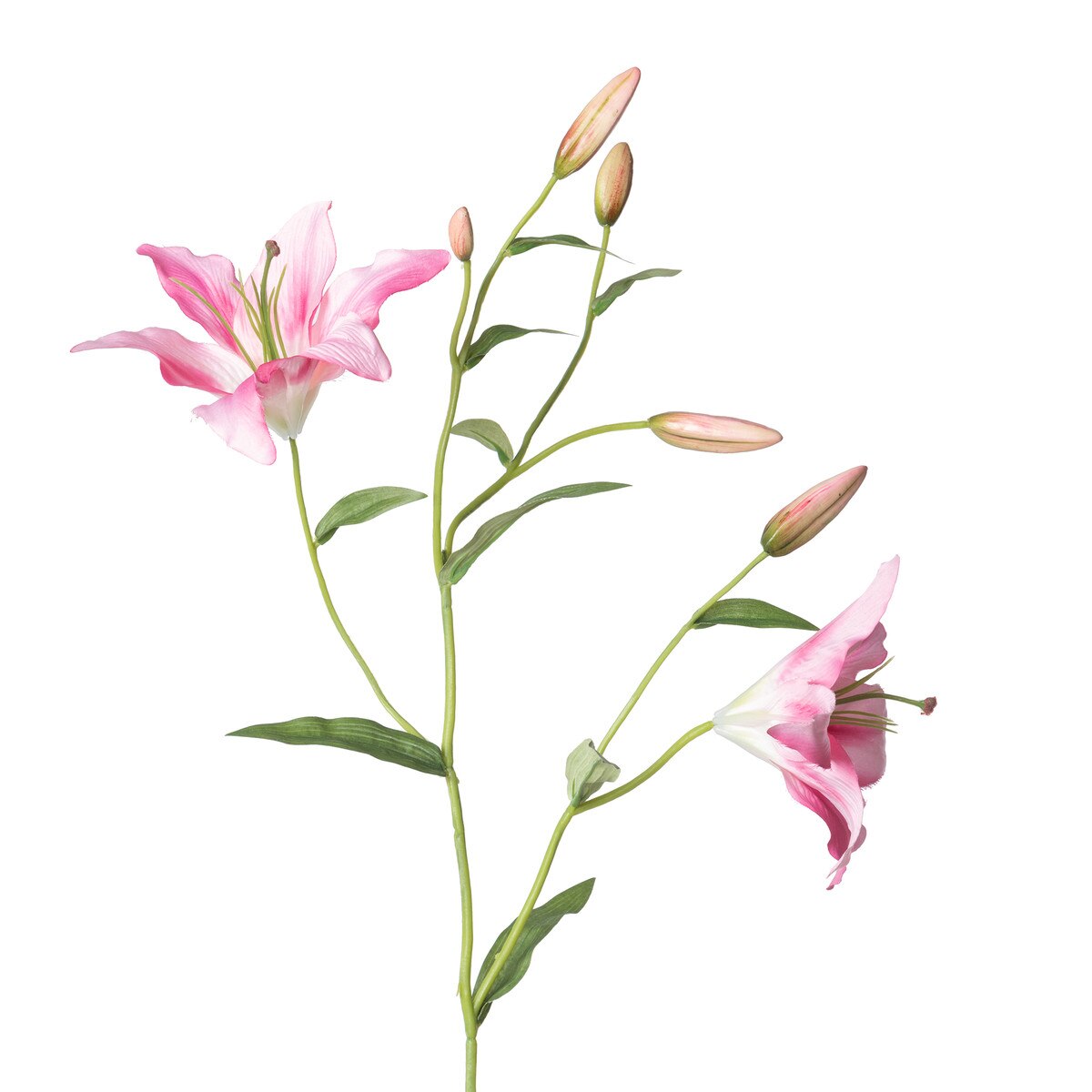 Oriental Lily Stem, Pink style shot 2