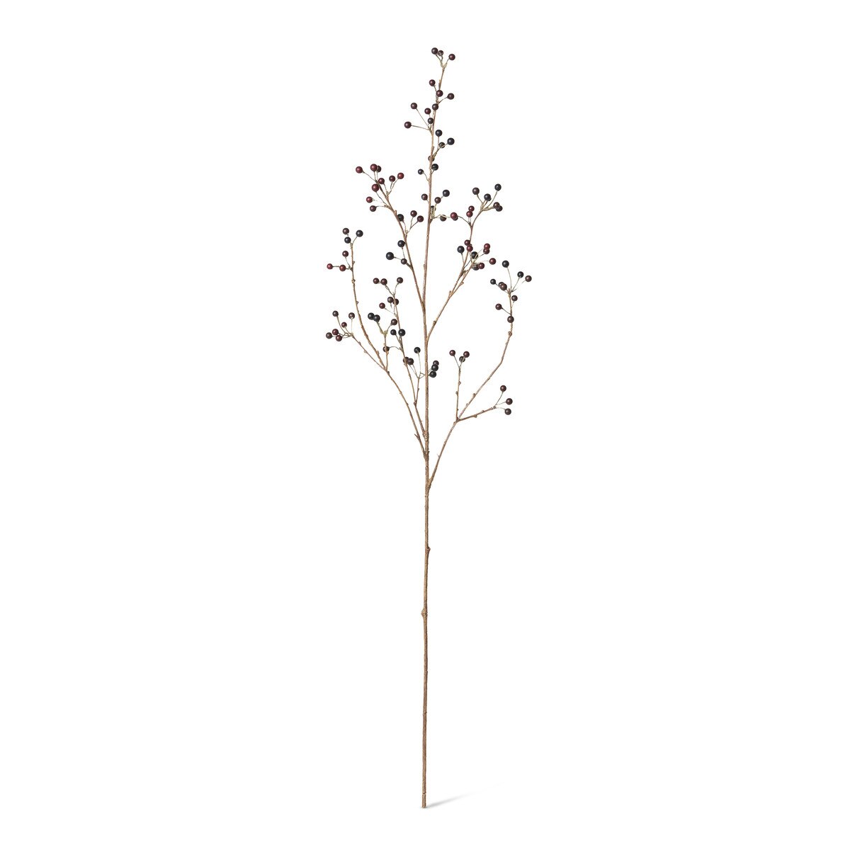 Late Season Blueberry Branch style shot 1