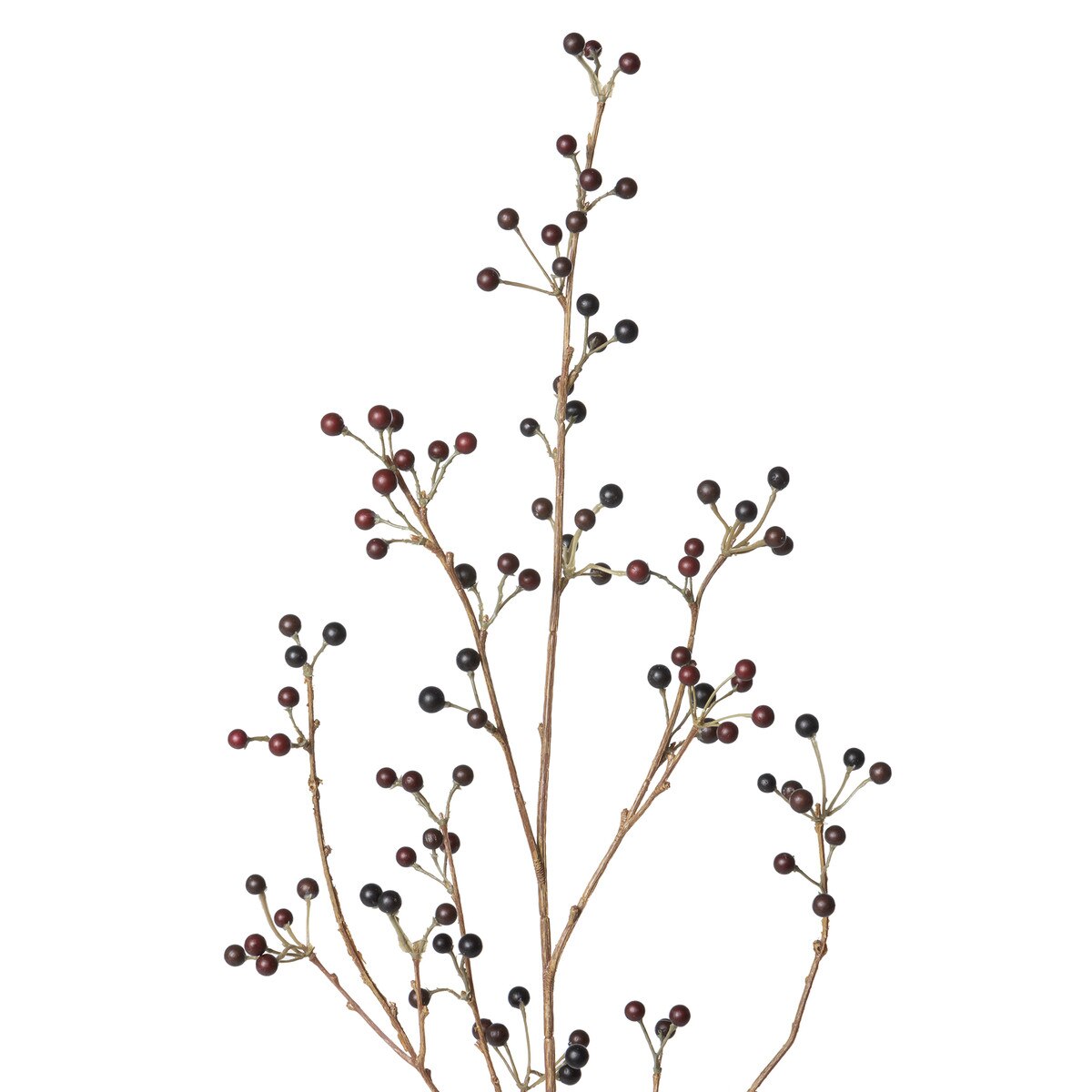 Late Season Blueberry Branch style shot 2