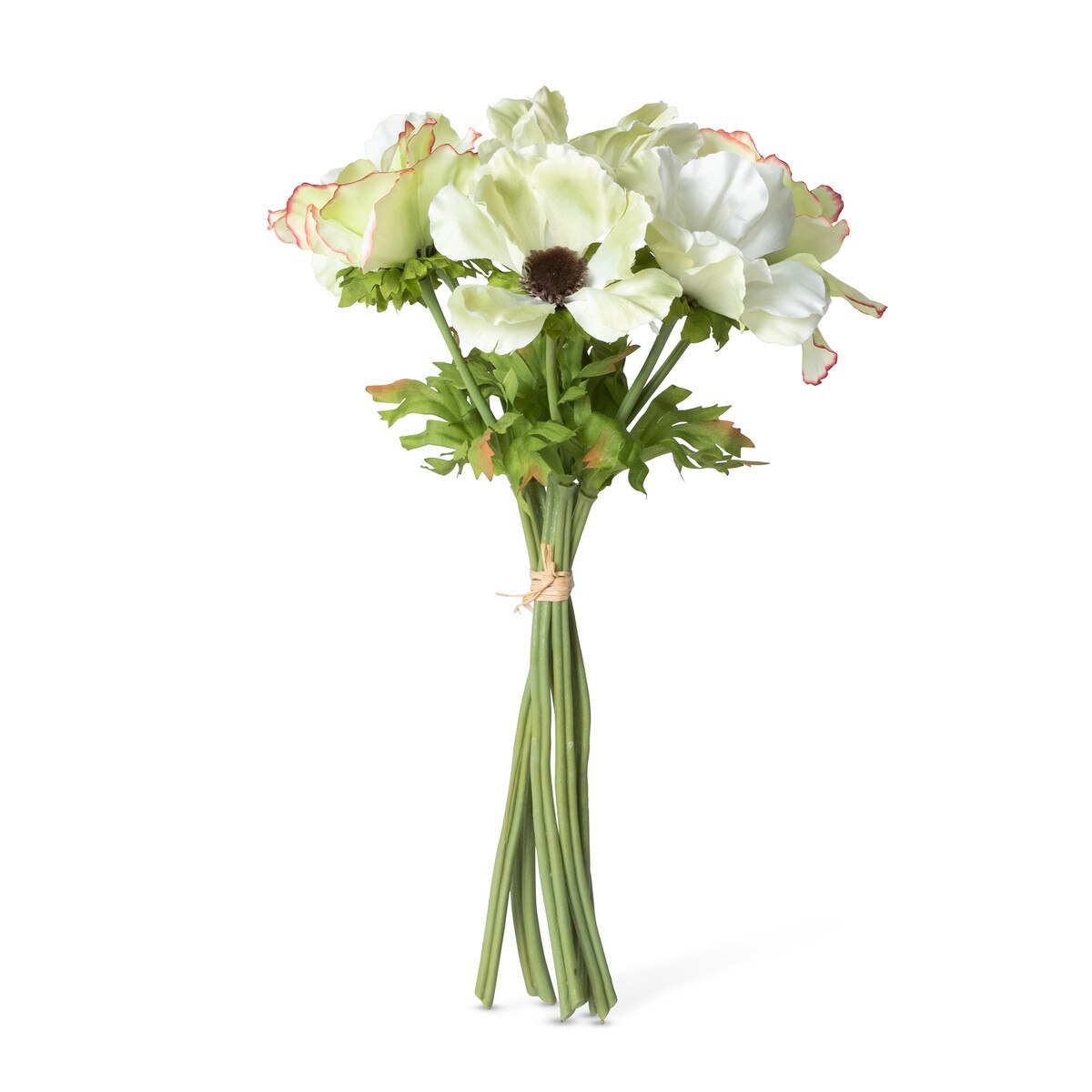 Garden Cutting Anemone Bundle, Cream Green style shot 1