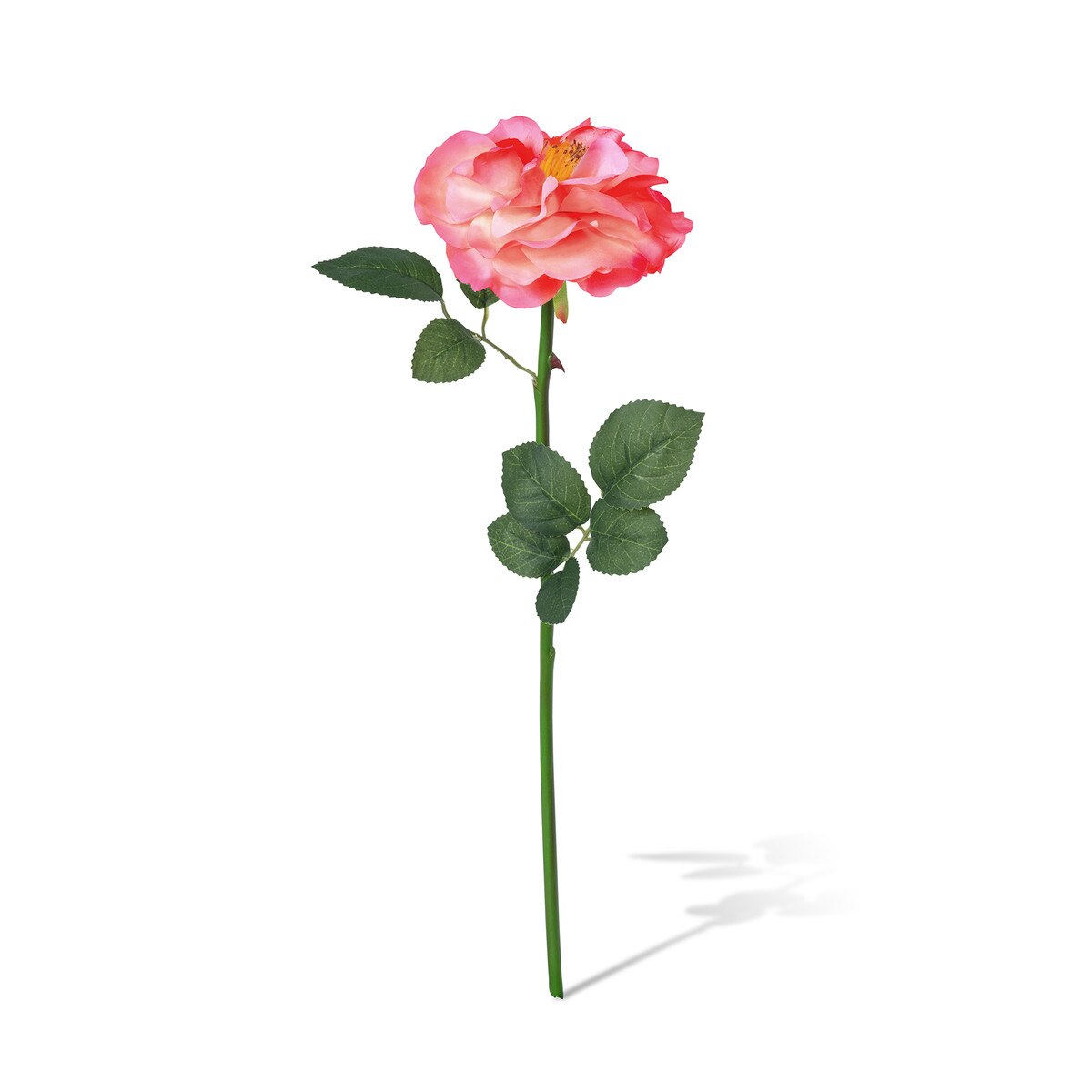 Gathered Garden Rose, Pink style shot 1