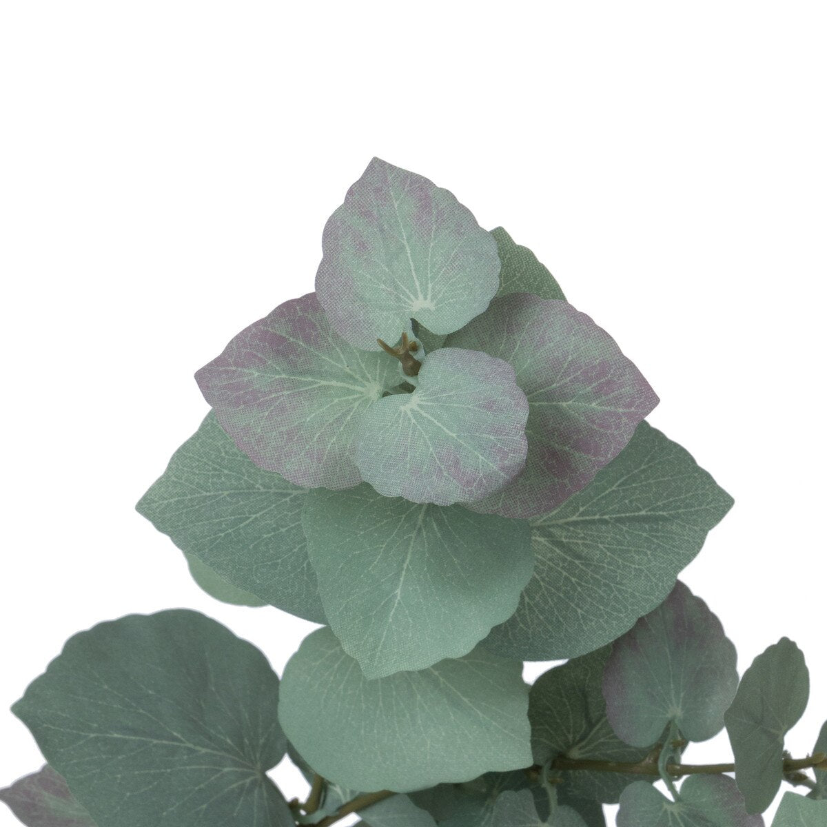 Silver Dollar Eucalyptus Stem style shot 2