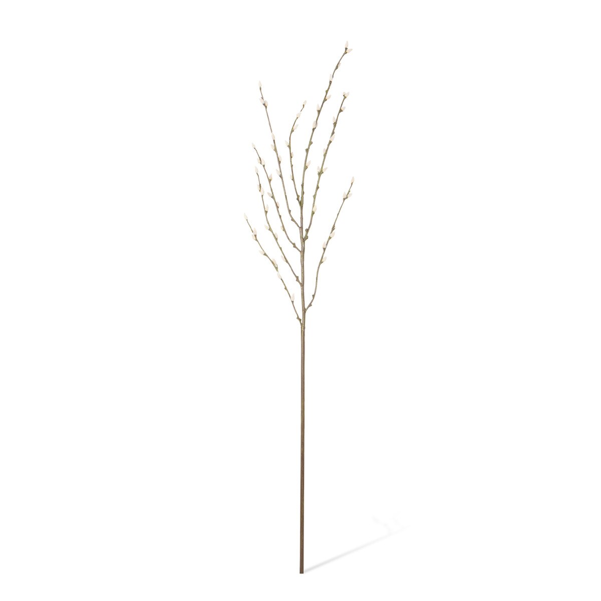 Pussy Willow Branch style shot 1