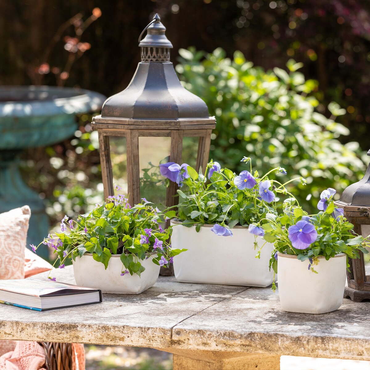 Orchard White Cement Planter, Medium style shot 2