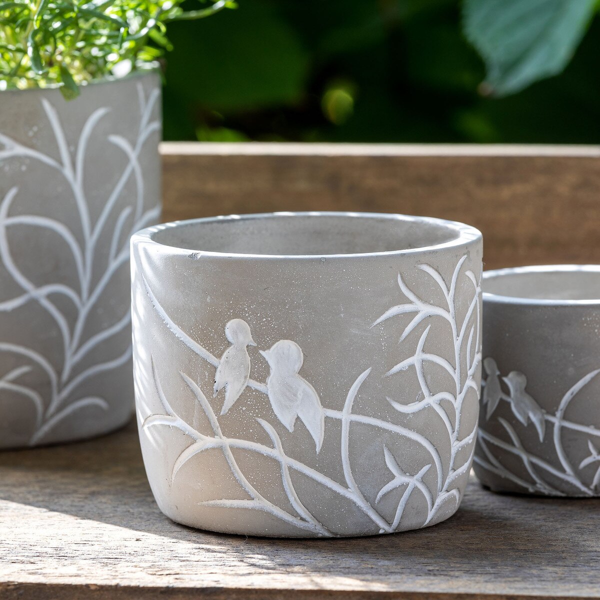 Lovebirds Silhouette Cement Pot, Medium