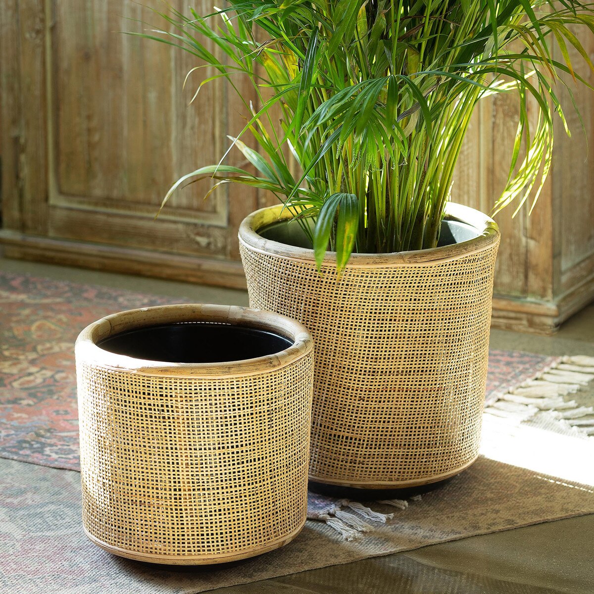 Woven Rattan Plant Basket, 14" style shot 2