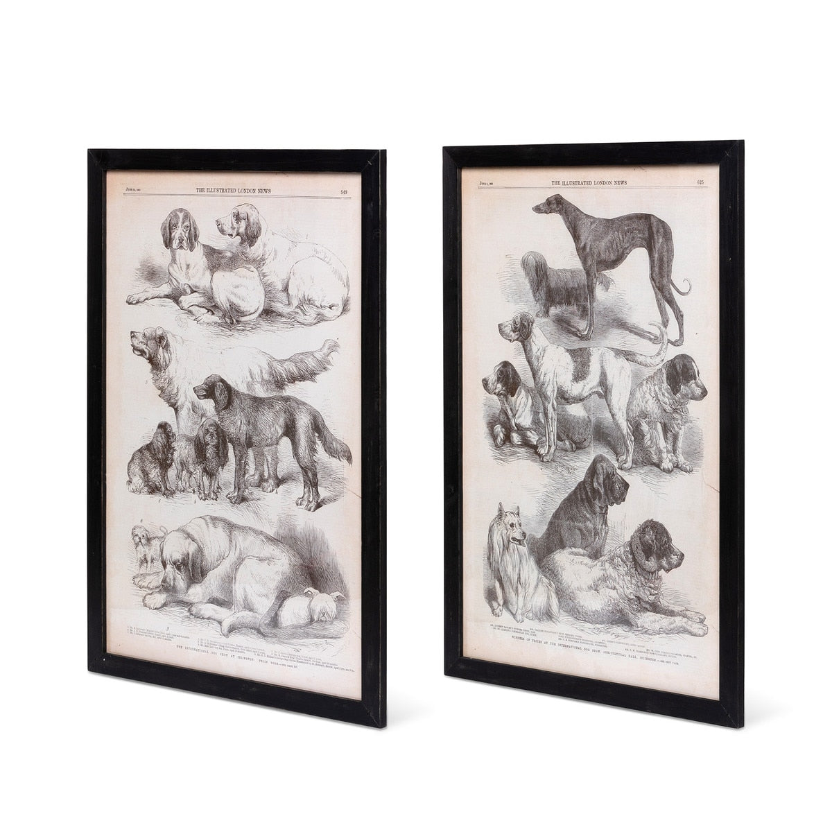 Canine Species Sepia Prints, 2 Assorted Styles style shot 2