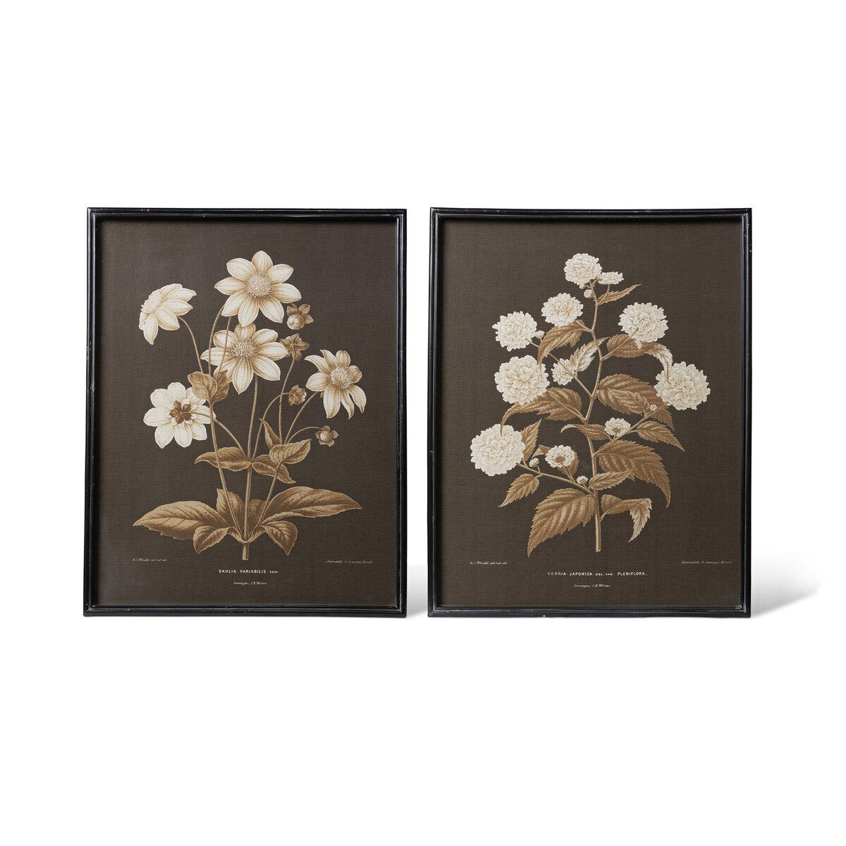 Garden Floral Botanical Framed Print style shot 1