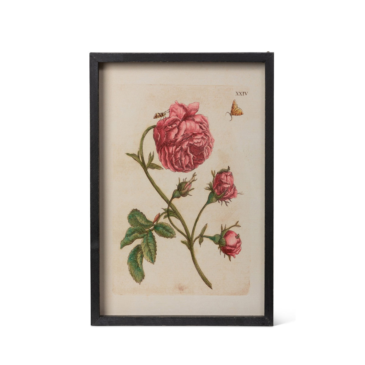 Jardin Boheme Botanical Prints, 4 Assorted Styles style shot 2