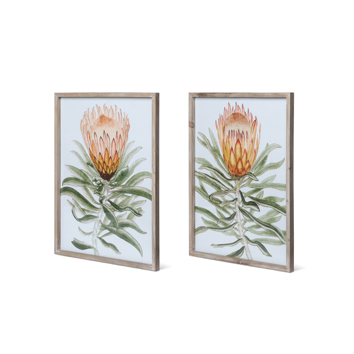 Protea Watercolor Prints in Wood Frames, 2 Assorted Styles style shot 2