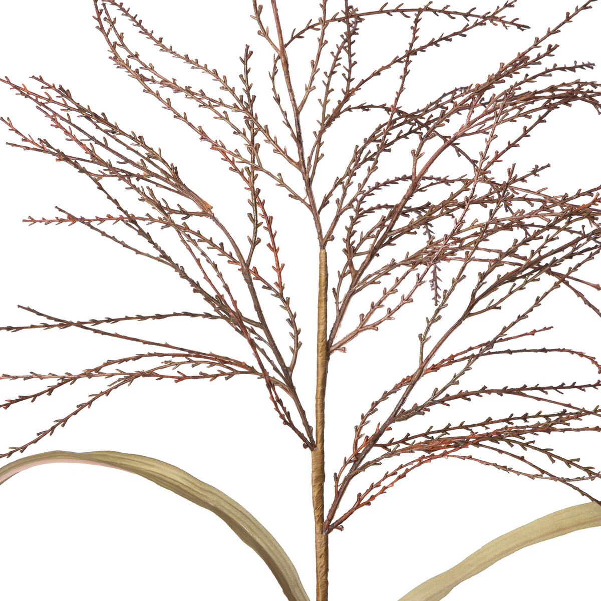 Fall Wild Millet Grass style shot 2