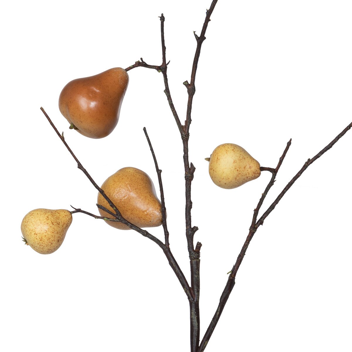 Autumn Pear Stem style shot 2