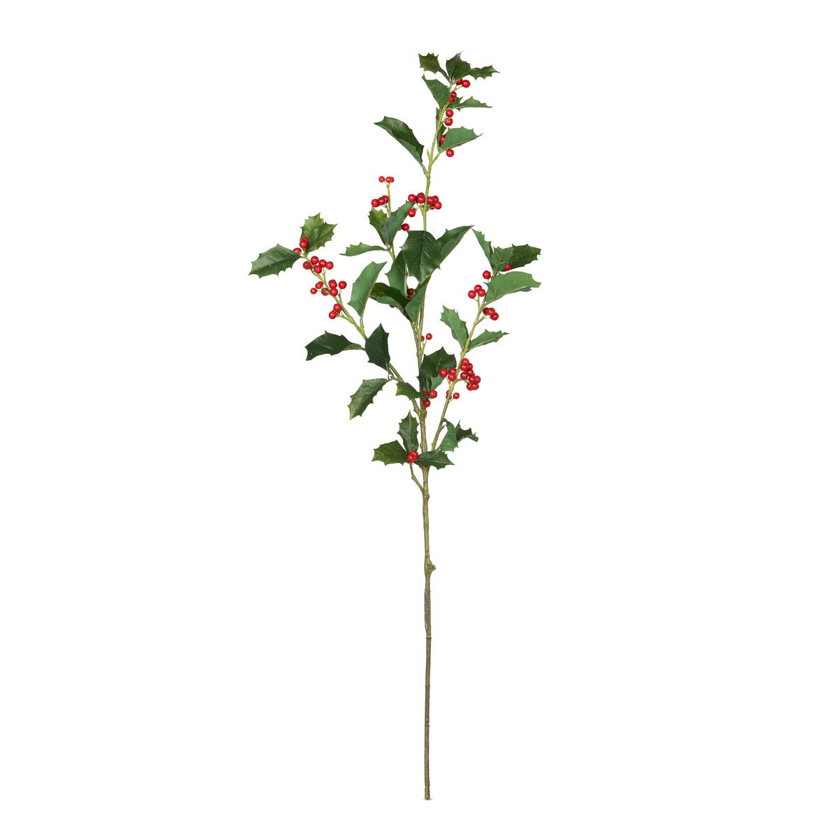 English Holly Stem style shot 1