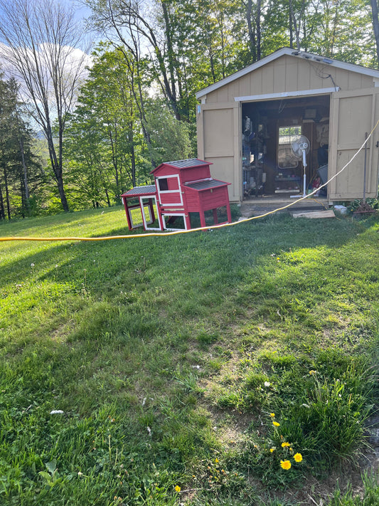 Slow Vermont Evenings