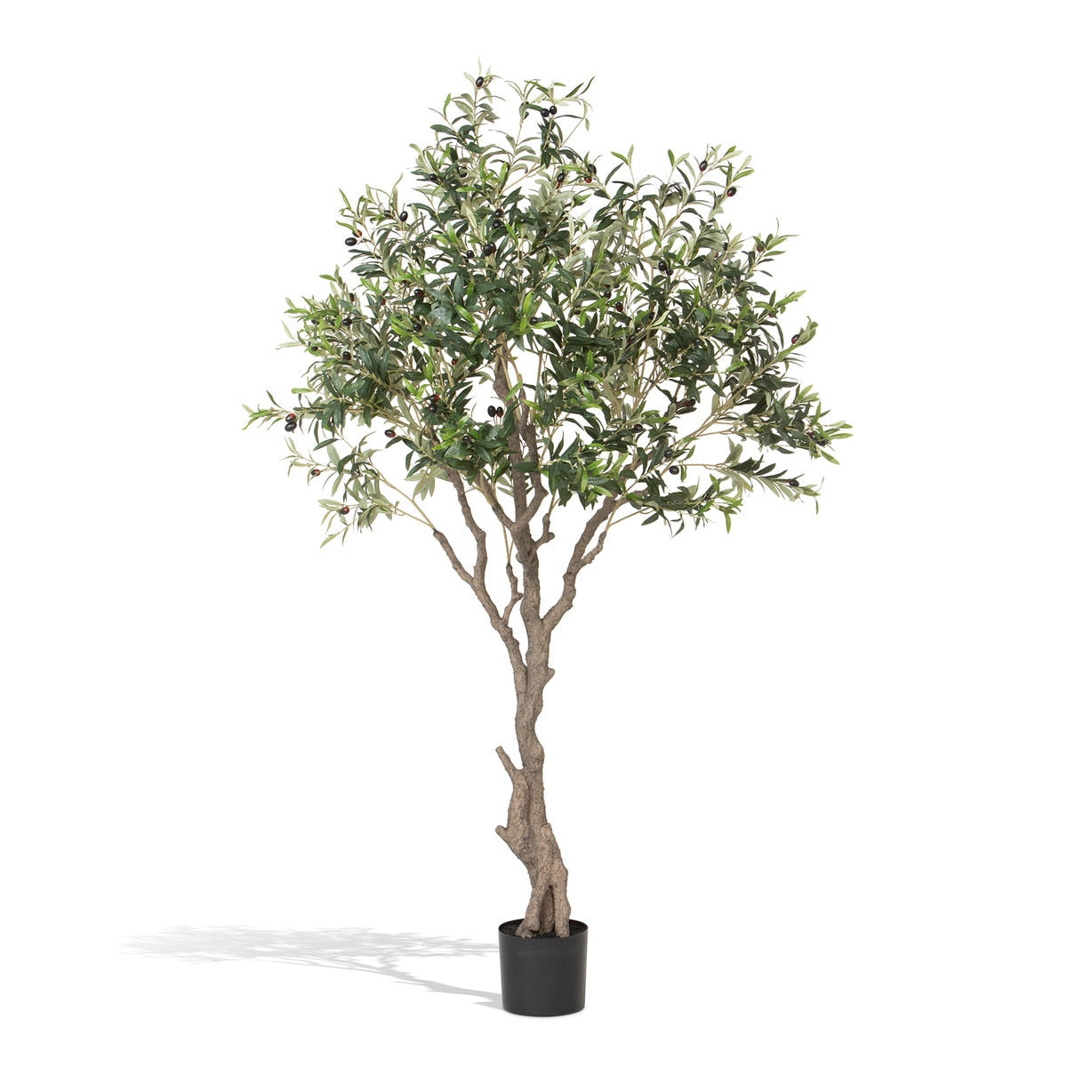 Faux Olive Tree with Weighted Black Pot, 78" style shot 1
