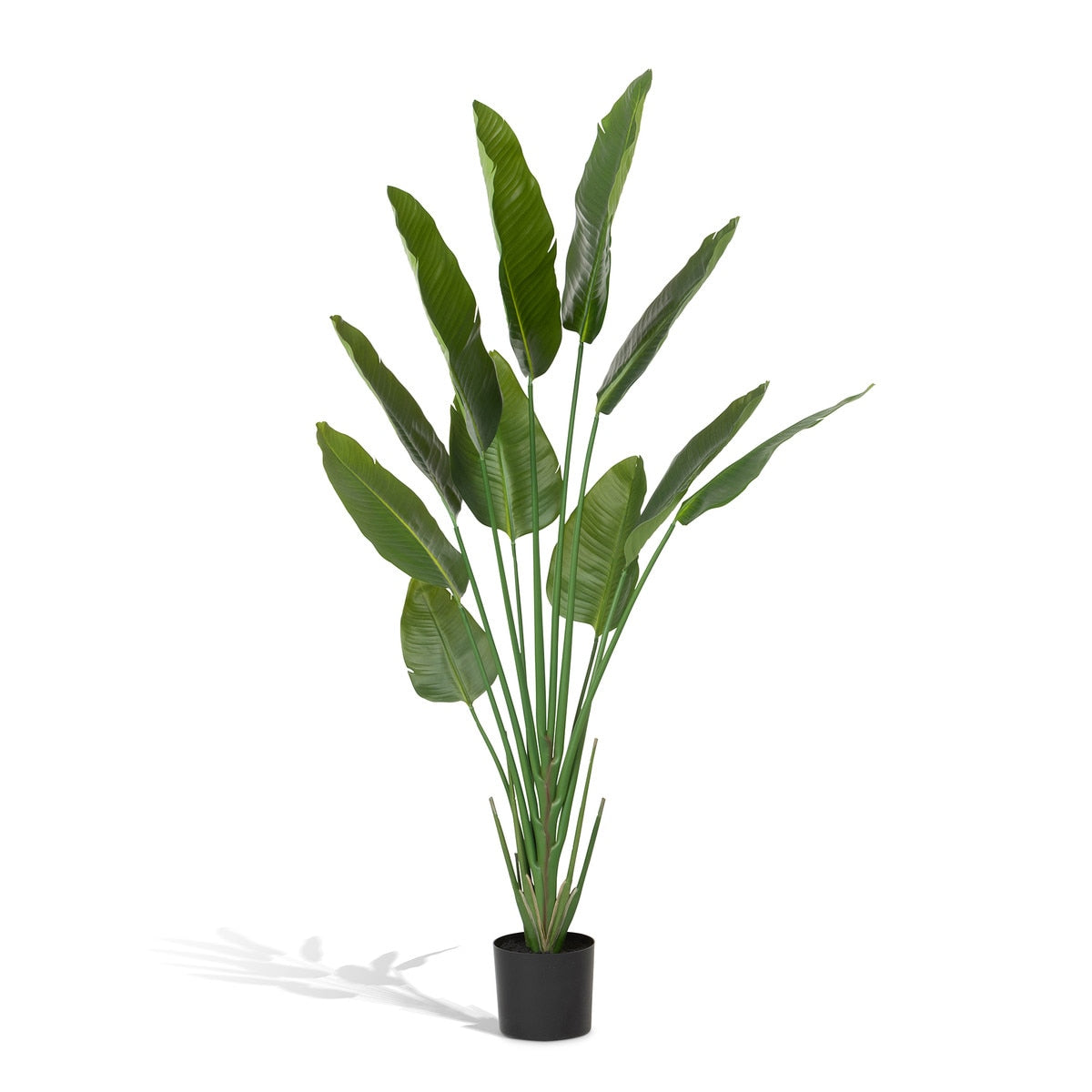 Faux Traveler Palm with Weighted Black Pot, 70" style shot 1