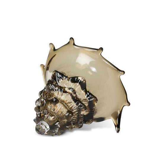 Lagoon Glass Seashell, Sandy Tan style shot 1