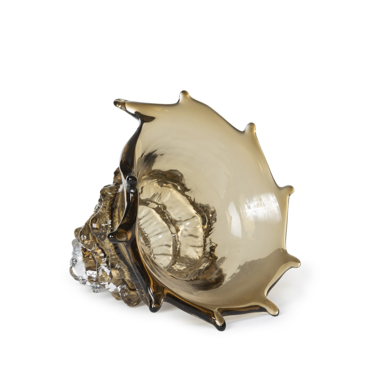 Lagoon Glass Seashell, Sandy Tan style shot 2