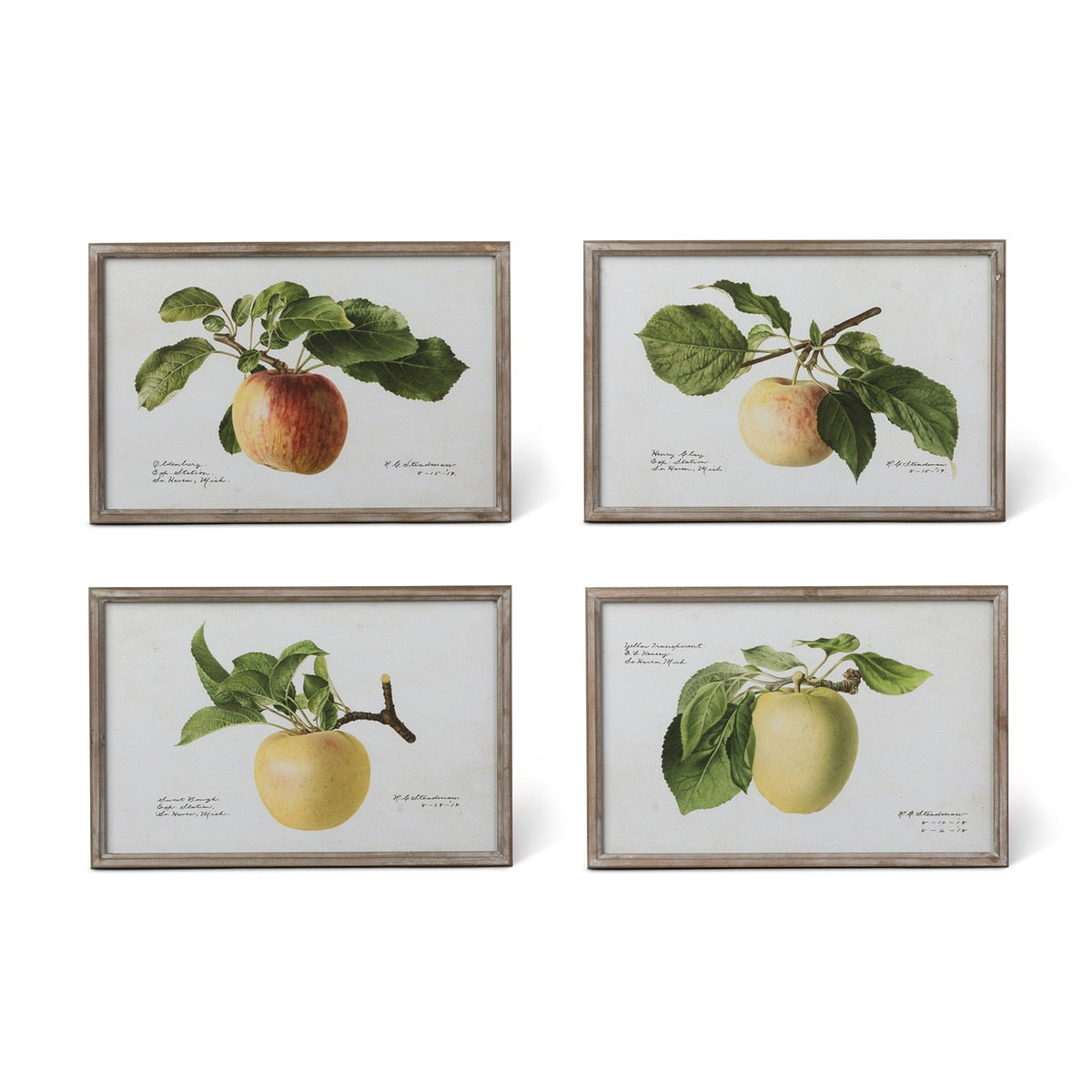 Vintage Orchard Framed Fruits Wall Art, 4 Assorted Styles style shot 1