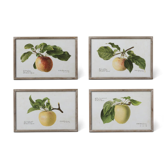 Vintage Orchard Framed Fruits Wall Art, 4 Assorted Styles style shot 1