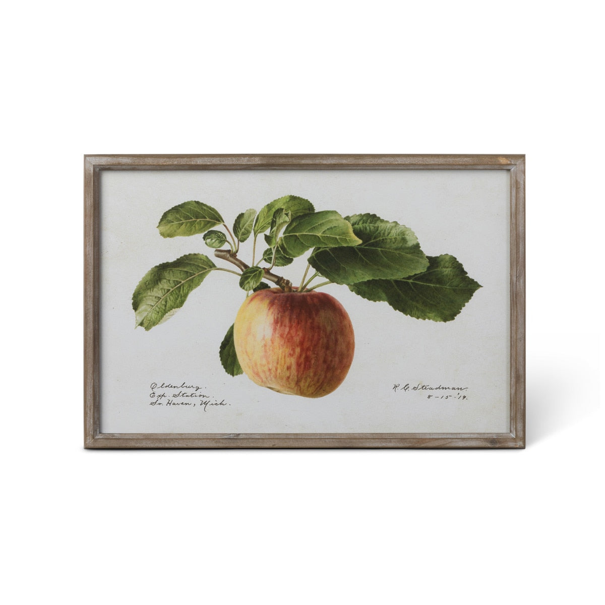 Vintage Orchard Framed Fruits Wall Art, 4 Assorted Styles style shot 2