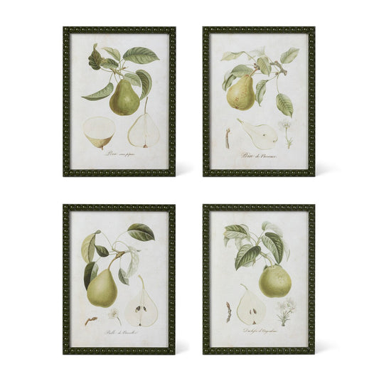 Vintage Orchard Framed Pear Wall Art, 4 Assorted Styles style shot 1