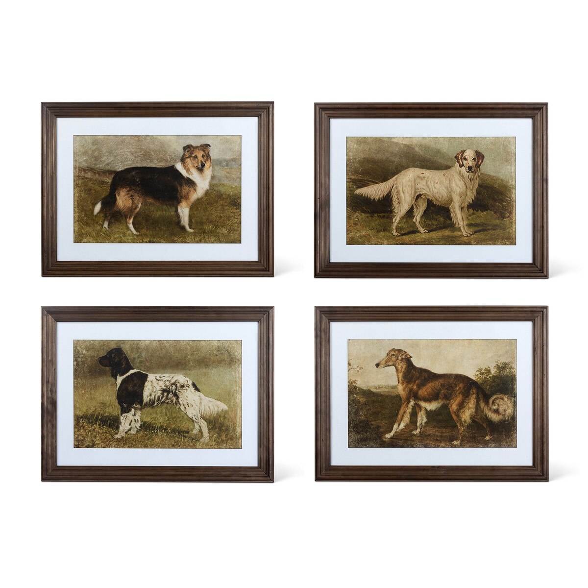 Heritage Hounds Framed Dog Wall Art, 4 Assorted Styles style shot 1