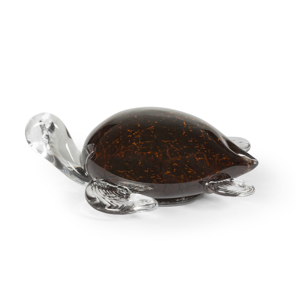 Tranquil Glass Tortoise style shot 2