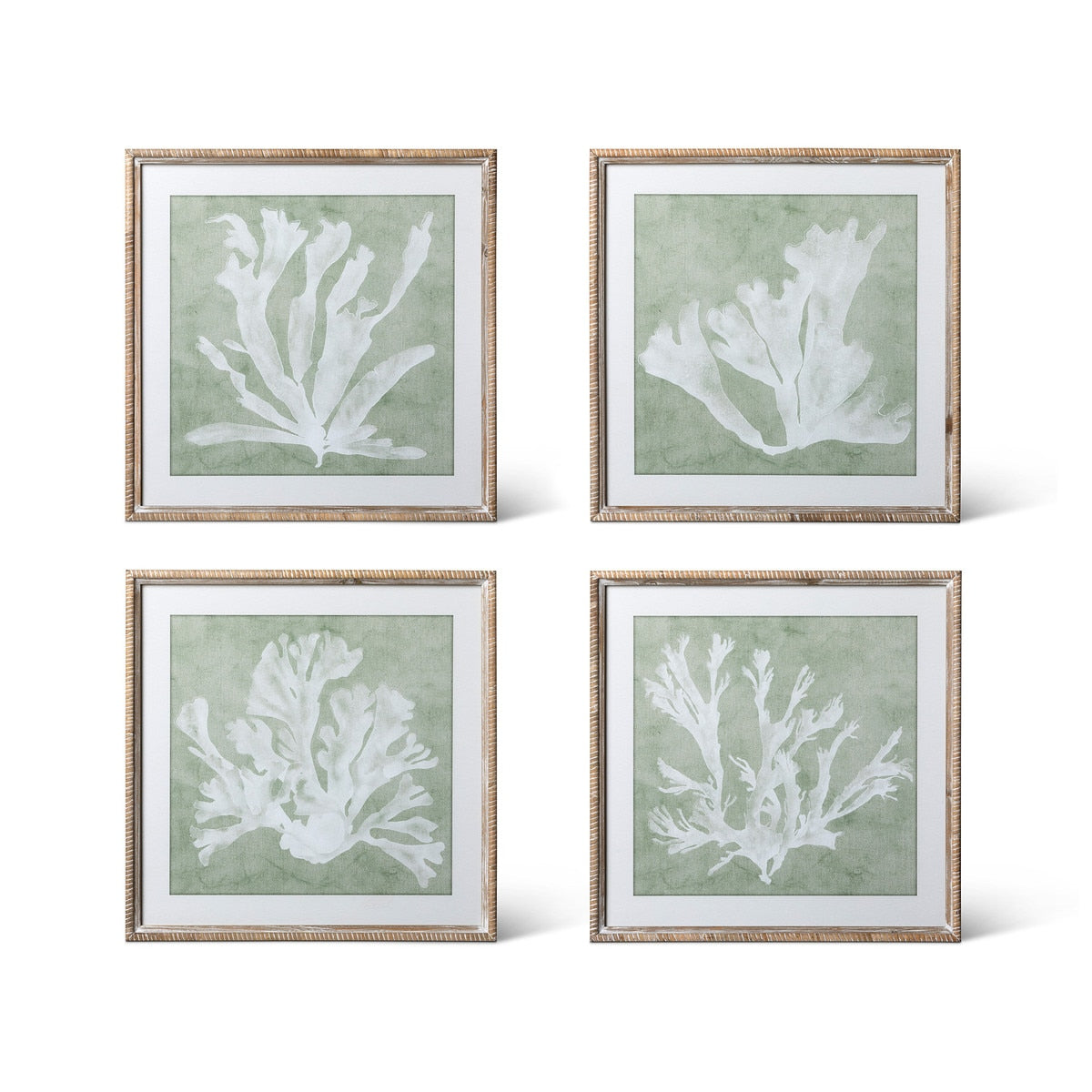 Isla Framed Coral Wall Art, Sage, 4 Assorted Styles style shot 1
