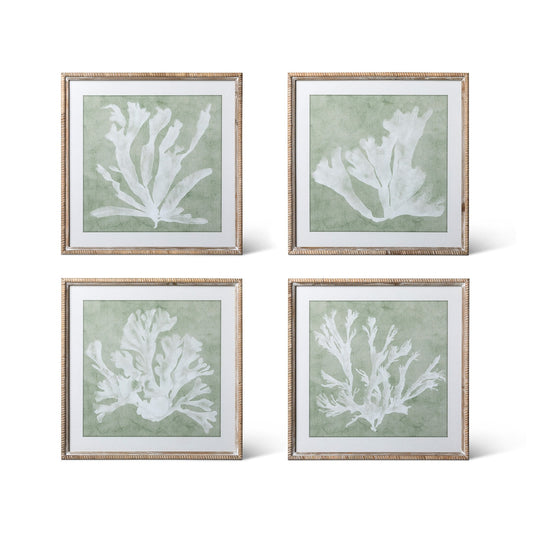 Isla Framed Coral Wall Art, Sage, 4 Assorted Styles style shot 1