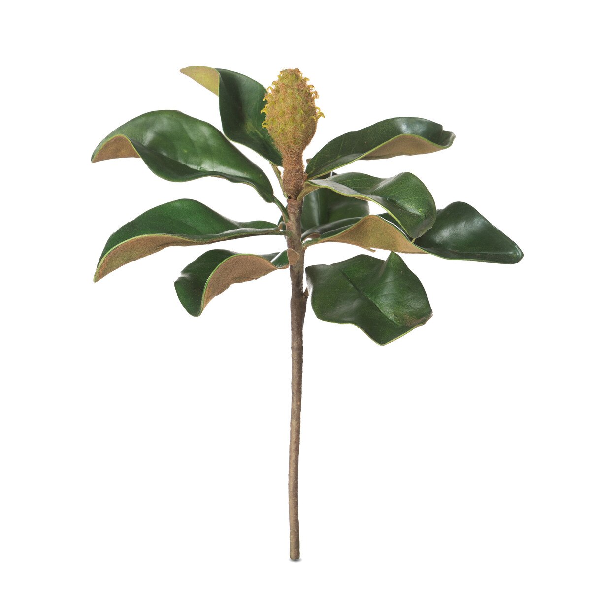 Faux Teddy Bear Magnolia Leaf Pick style shot 1