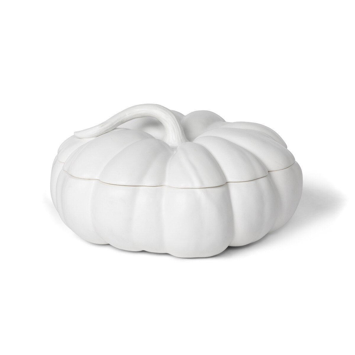 Matte White Lidded Ceramic Pumpkin Bowl Large style shot 1