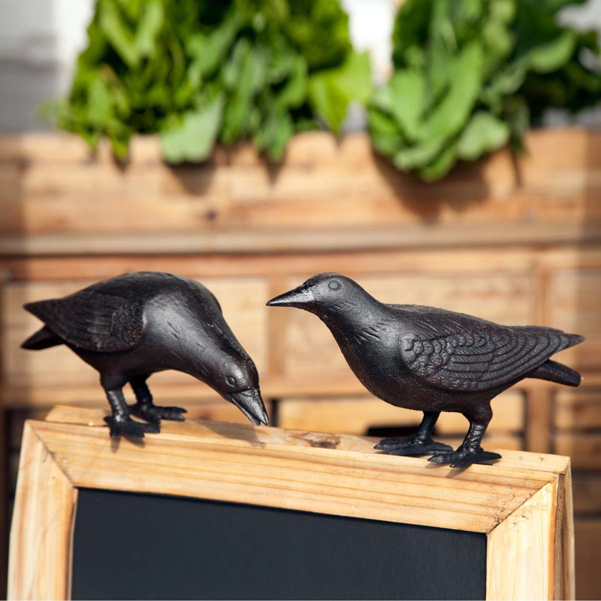 Cast Iron Crows, Set of 2