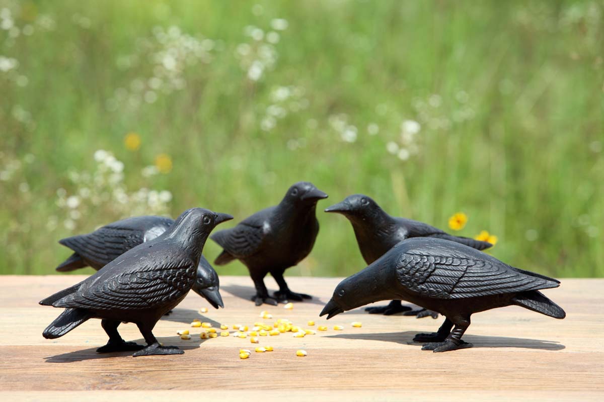 Cast Iron Crows, Set of 2 style shot 1