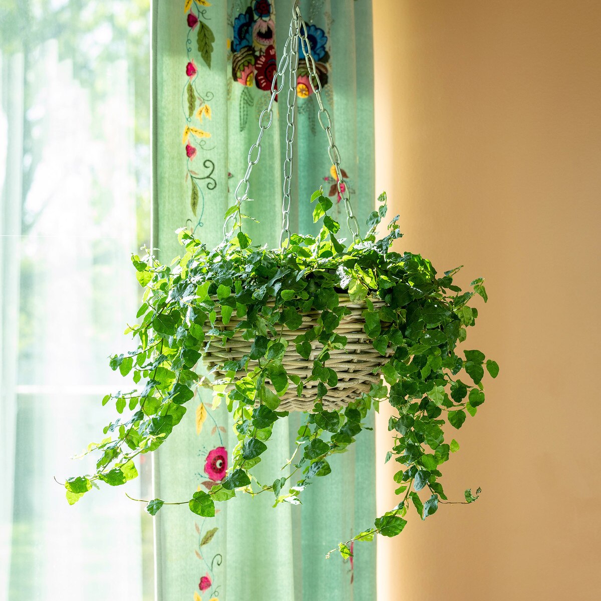 Rattan Hanging Planter Medium