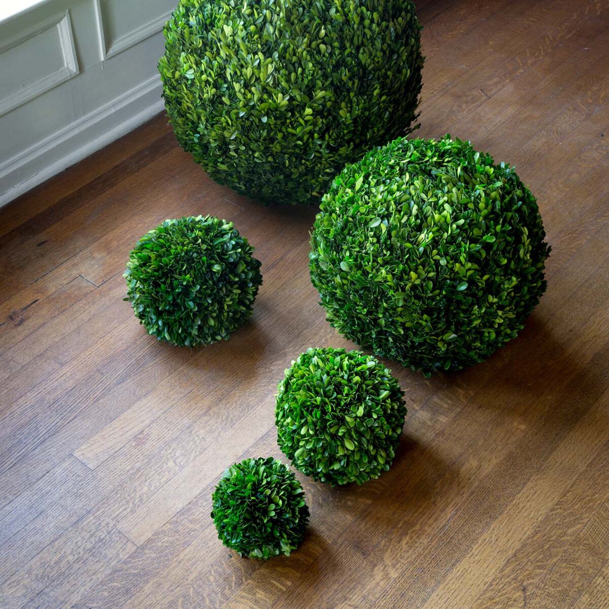 Preserved Boxwood Ball, 6" style shot 1