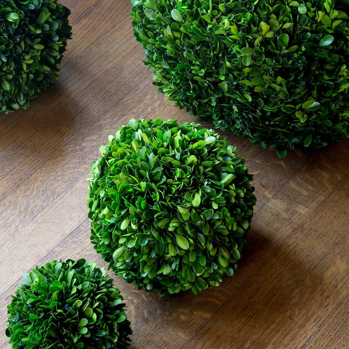 Preserved Boxwood Ball, 8"