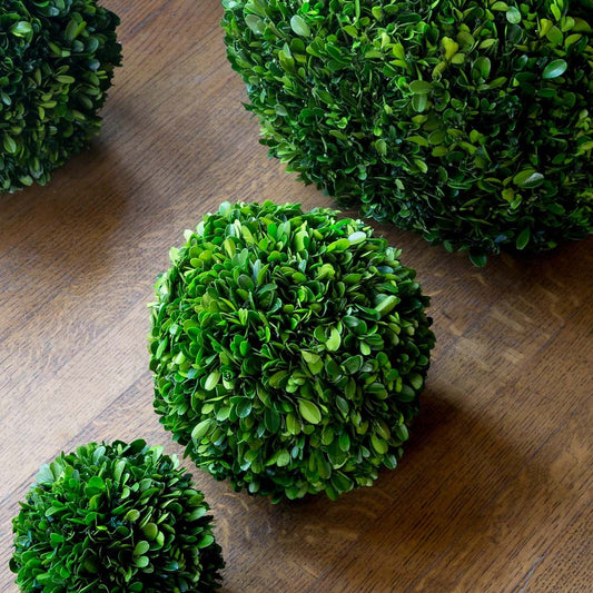 Preserved Boxwood Ball, 8"