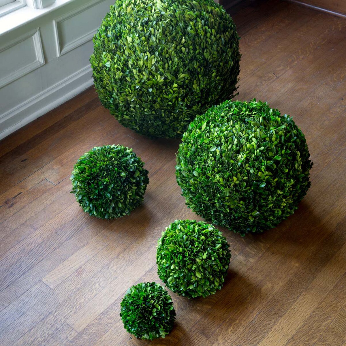 Preserved Boxwood Ball, 10" style shot 1