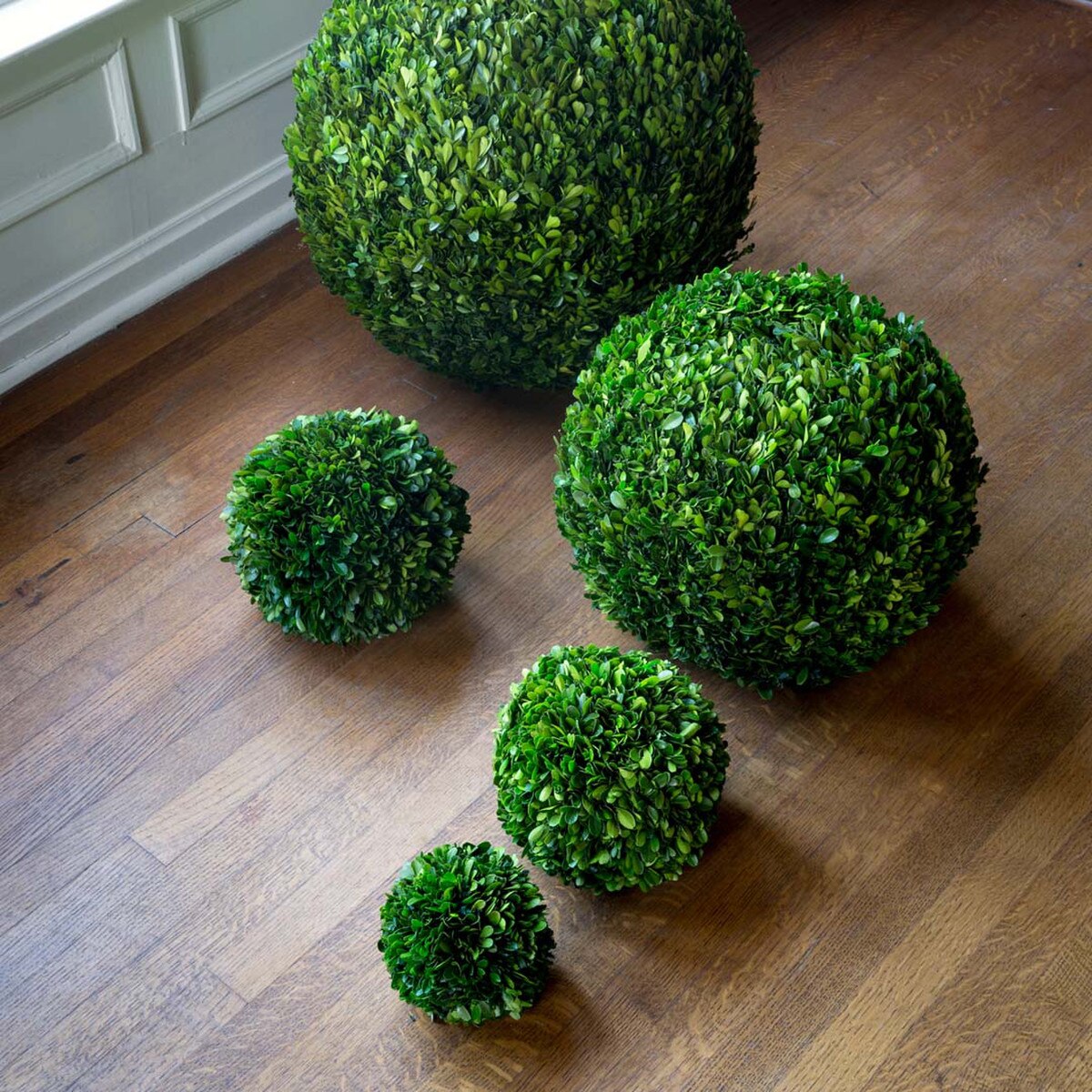 Preserved Boxwood Ball, 16" style shot 1